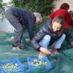 IMG_3816  aux arbres citoyens crédit jenny delrieux