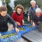 IMG_3819 aux arbres citoyens crédit jenny delrieux