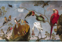 La perte de biodiversité accentue le dérèglement climatique