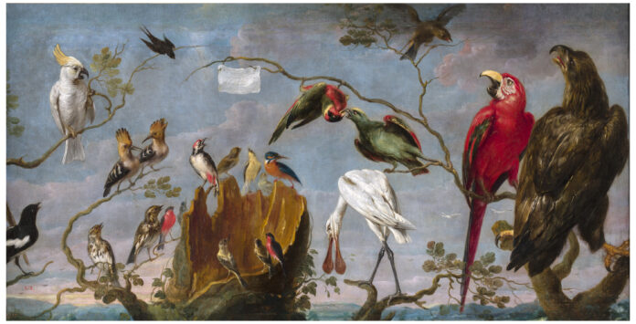 La perte de biodiversité accentue le dérèglement climatique