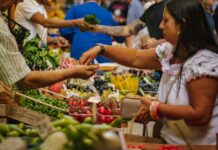 Rapport : dernière chance pour l’Europe de manger plus végétal