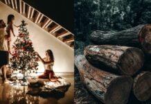 Sapin de Noël : une industrie qui fait tâche