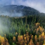 autumn-gb2da7d91e_1280