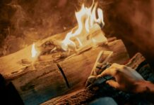 Bois-énergie : les coulisses d’une industrie pas si verte