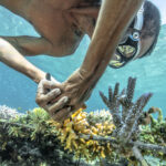 Copyright Martin Colognoli -0482