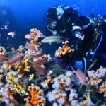 image-3-Espagne_copyright-Javier-Sanchez-ConvertImage-ConvertImage