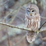 philip-brown-CZi-9nISUIs-unsplash