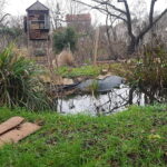 20191223_152559-ConvertImage-ConvertImage