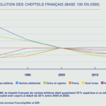 Capture d’écran 2023-03-27 à 13.56.50