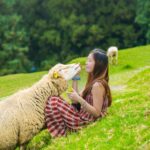 johen-redman-wc_bUQFR7qc-unsplash-ConvertImage