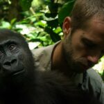 Luc-Mathot-3-entete-bis