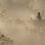 PEXELS_Süleyman Şahan