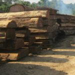 Plots aux dimensions illégales prêts à être exportés KIBG