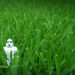 3521006248_7f79c1a2c2_k