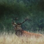 Ep.4.POSB_STILLS_5.25.1.TcSolal-Moisan-Echo-Studio-2023_1-1900×796