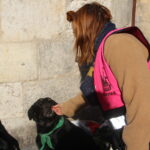 IMG_3916 Gamelles pleines La Rochelle distribution de friandises crédit Jenny Delrieux