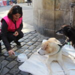 IMG_3929 Gamelles pleines La Rochelle distribution de friandises crédit Jenny Delrieux