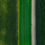 miha-rekar-LIel8q1XQsE-unsplash