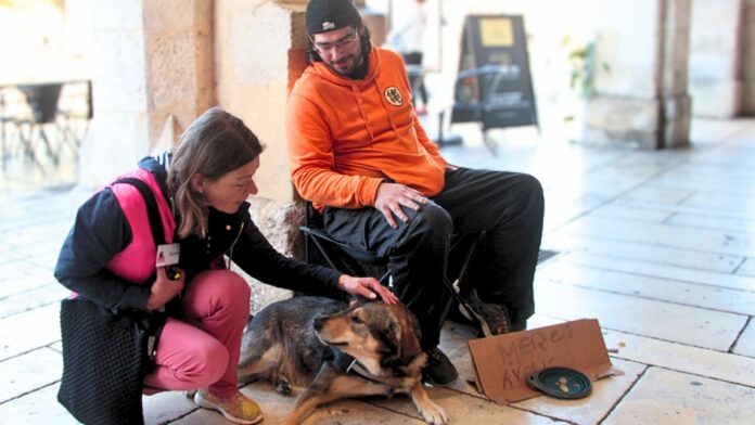 Ces bénévoles aident les personnes sans-abri à nourrir leurs animaux