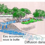 schéma du cycle de l’eau en pro