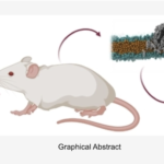 Capture d’écran 2023-05-03 à 18.59.52