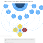Capture d’écran 2023-05-16 à 17.30.18