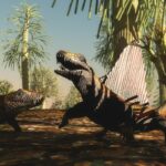 GETTY IMAGE par CANVA_CoreyFord