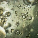 sonika-agarwal-DyyPIdim9lY-unsplash (1)