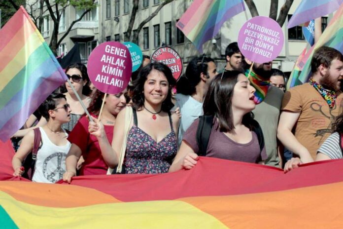 Dans les yeux de Günsel, opposante kurde à Erdogan