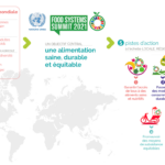 Infographie_UNFSS_FR
