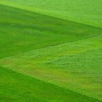 meadow-g06fa23f38_1280