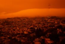 Les écosystèmes pourraient s’effondrer bien plus vite que prévu