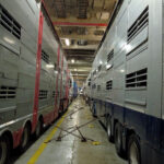 veaux-transport-ferry