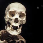 arthur-lambillotte-uR-AwDMrPPk-unsplash