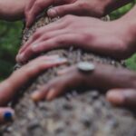 shane-rounce-DNkoNXQti3c-unsplash