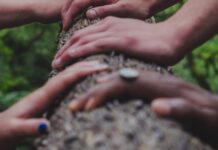 Faire écologie ensemble : la fin d’une guerre des générations