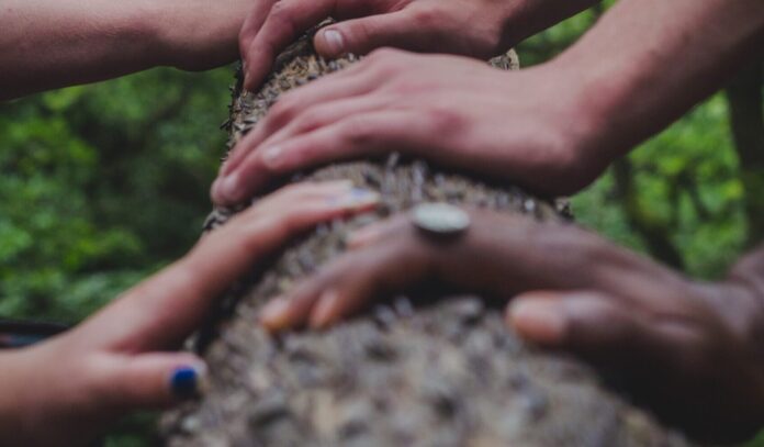 Faire écologie ensemble : la fin d’une guerre des générations