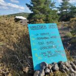 signal-2023-08-12-171507_024