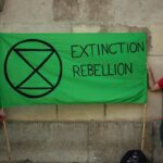 57113146_271592167117086_7001557034835378176_n