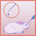 Capture d’écran 2023-11-13 à 11.29.30