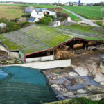 drone-elevage-vaches-laitieres-whaou