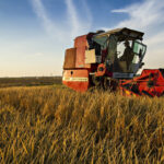 48600778616_aebc0472cc_k