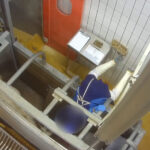 abattoir-craon-bovin-piege