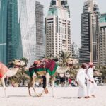 fredrik-ohlander-fCW1hWq2nq0-unsplash