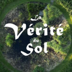 La Vérité du Sol VIGNETTE(1)