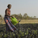 RS107179_INDO_2023_PC_152_scr