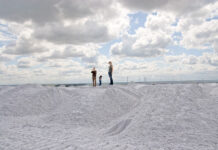 Pénurie de phosphore : une famine mondiale à retardement