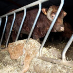 derush praslay.00_07_22_00.Still037