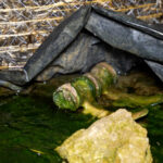 derush praslay.00_13_31_22.Still034