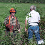 Hedging_competitors_-_Boverton_-_geograph.org.uk_-_2072396
